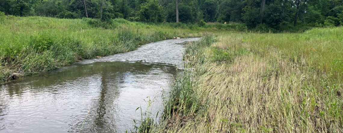 Significant high water events in recent weeks have affected some of our North Shore trout streams, especially large watersheds like the Baptism and Beaver Rivers. Above barriers and up the shore towards Grand Marais have received less rain this season and are in better shape. (p.c. Carl Haensel)