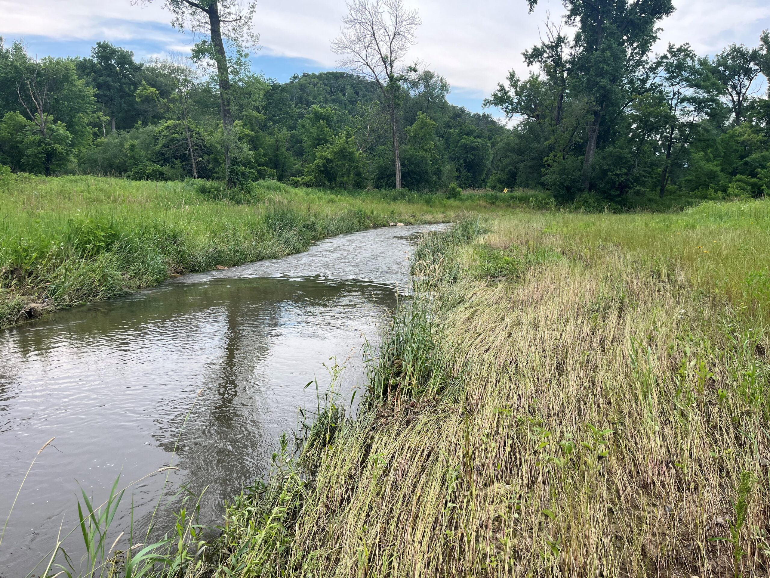 Significant high water events in recent weeks have affected some of our North Shore trout streams, especially large watersheds like the Baptism and Beaver Rivers. Above barriers and up the shore towards Grand Marais have received less rain this season and are in better shape. (p.c. Carl Haensel)