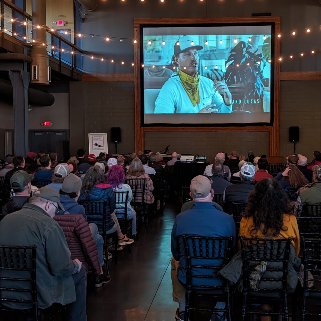 PXL_20240204_222109212