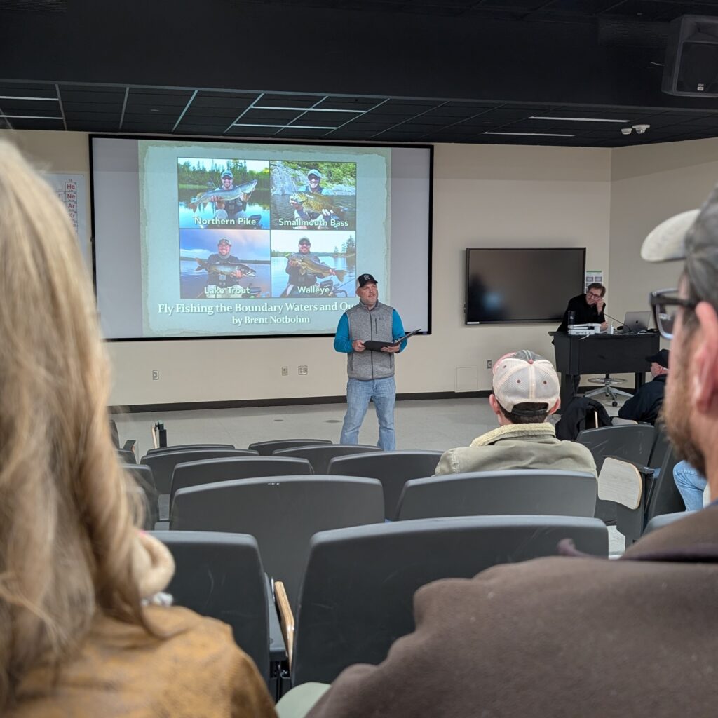 PXL_20241115_010403699.MP