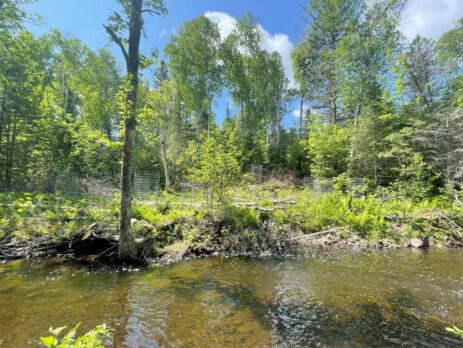 Screenshot 2026 03 20 170440